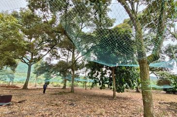 Tangkak 22 Acres Land