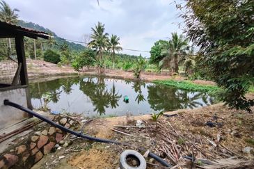 Tangkak 22 Acres Land