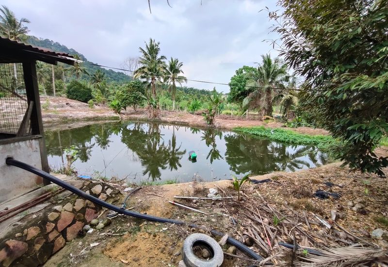 Tangkak 22 Acres Land