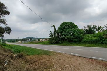 Tangkak 22 Acres Land