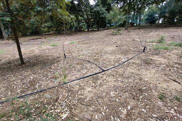 Tangkak 22 Acres Land