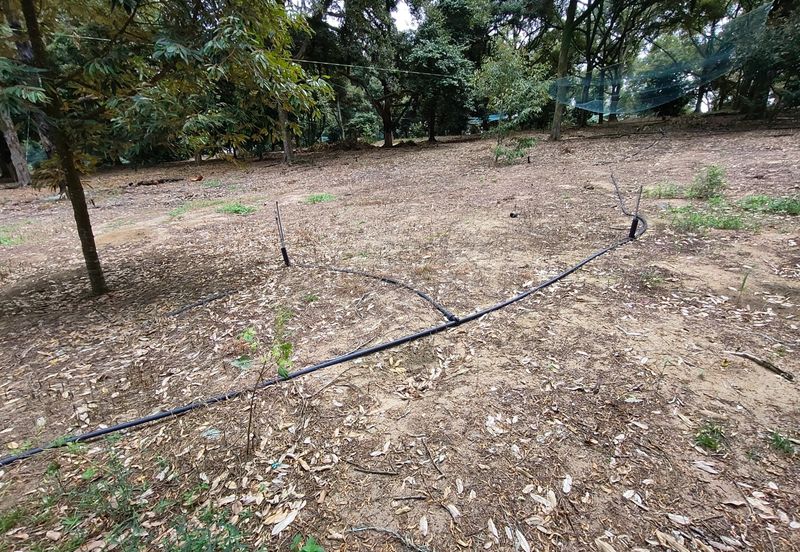 Tangkak 22 Acres Land