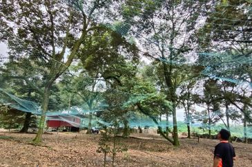 Tangkak 22 Acres Land