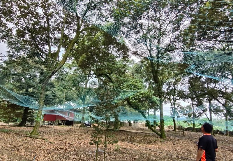 Tangkak 22 Acres Land