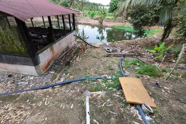 Tangkak 22 Acres Land