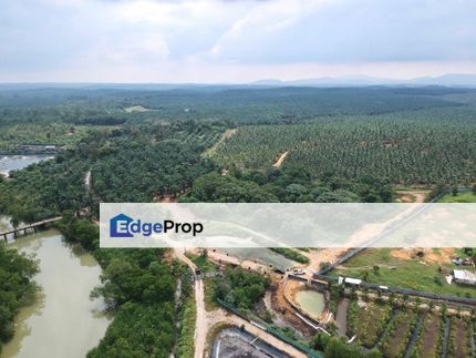Nam Heng 4 Acres Land, Johor, Johor Bahru
