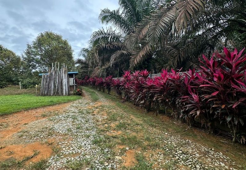 Sedenak 5 Acres Land