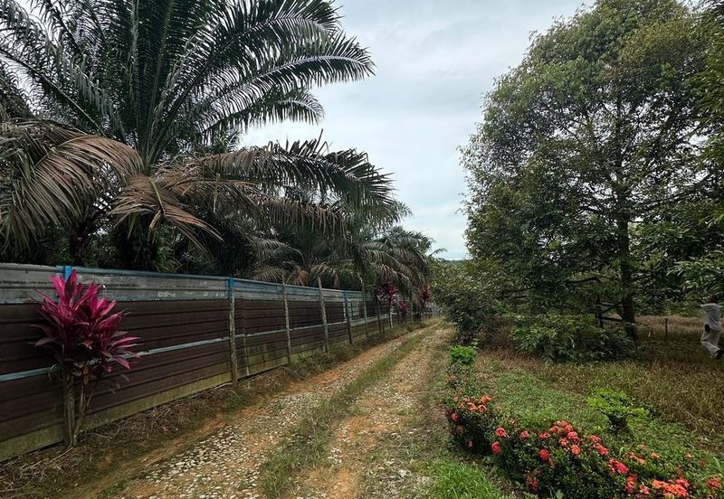 Sedenak 5 Acres Land