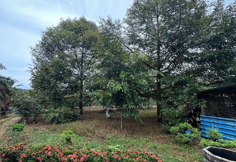 Sedenak 5 Acres Land