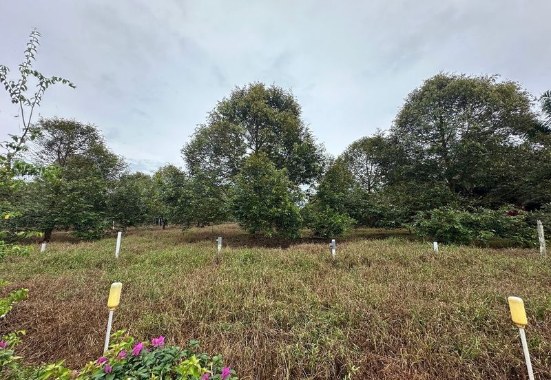 Sedenak 5 Acres Land