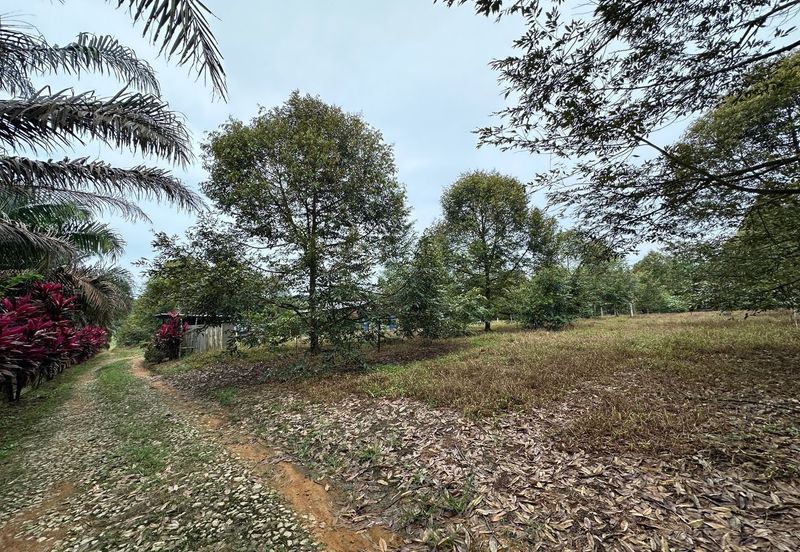 Sedenak 5 Acres Land