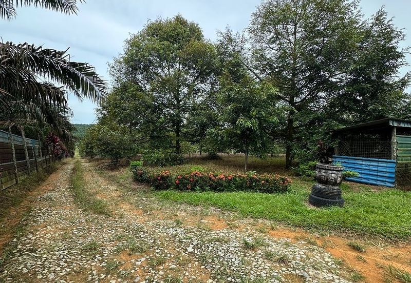 Sedenak 5 Acres Land