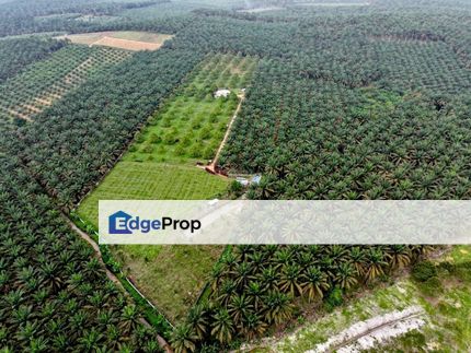 Sedenak 5 Acres Land, Johor, Kulai