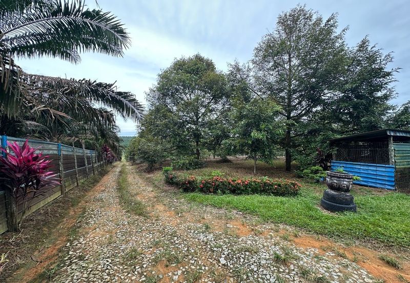 Sedenak 5 Acres Land