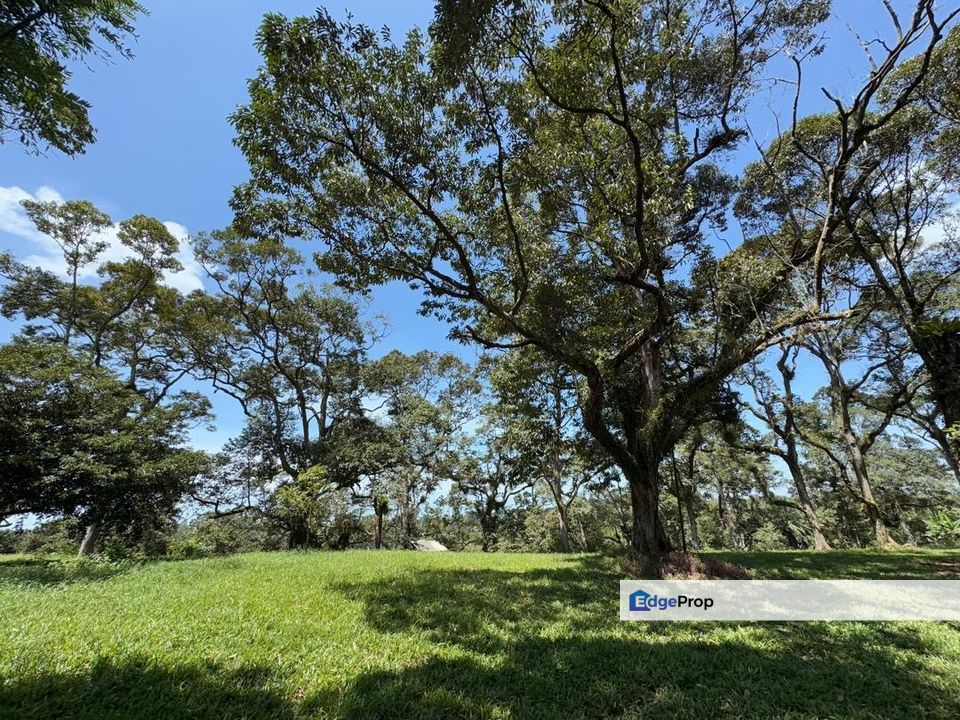 Batu Pahat Road Side 12 Acres Land, Johor, Batu Pahat