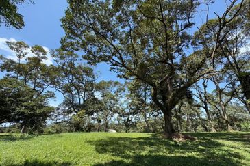 Batu Pahat Road Side 12 Acres Land