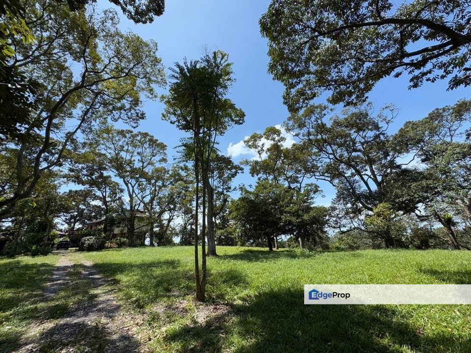 Batu Pahat Road Side 12 Acres Land, Johor, Batu Pahat