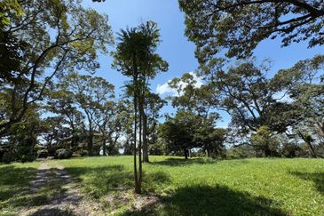 Batu Pahat Road Side 12 Acres Land