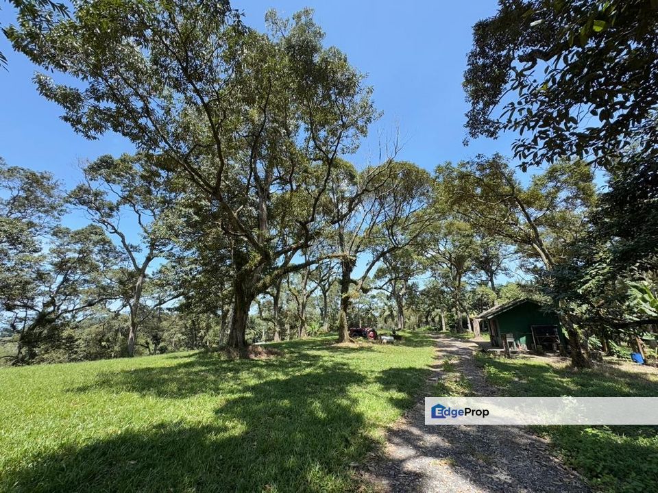 Batu Pahat Road Side 12 Acres Land, Johor, Batu Pahat