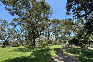 Batu Pahat Road Side 12 Acres Land