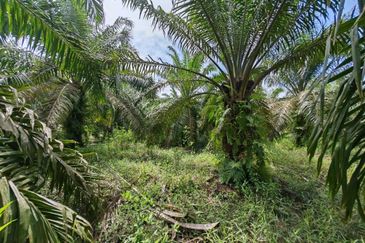 Kota Tinggi 4 Acres Land