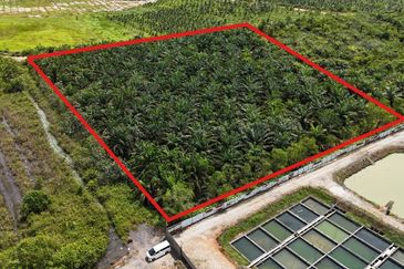 Kota Tinggi 4 Acres Land