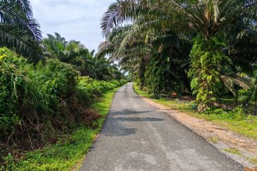 Kota Tinggi 4 Acres Land