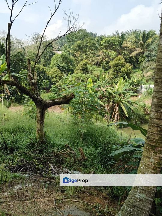 Plentong 10.22 Acres Land, Johor, Plentong