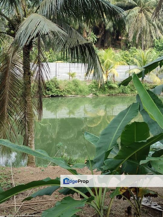 Plentong 10.22 Acres Land, Johor, Plentong