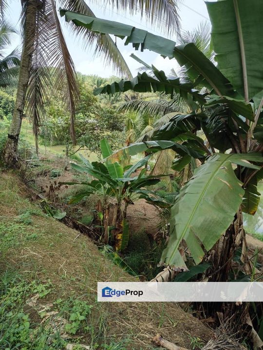 Plentong 10.22 Acres Land, Johor, Plentong