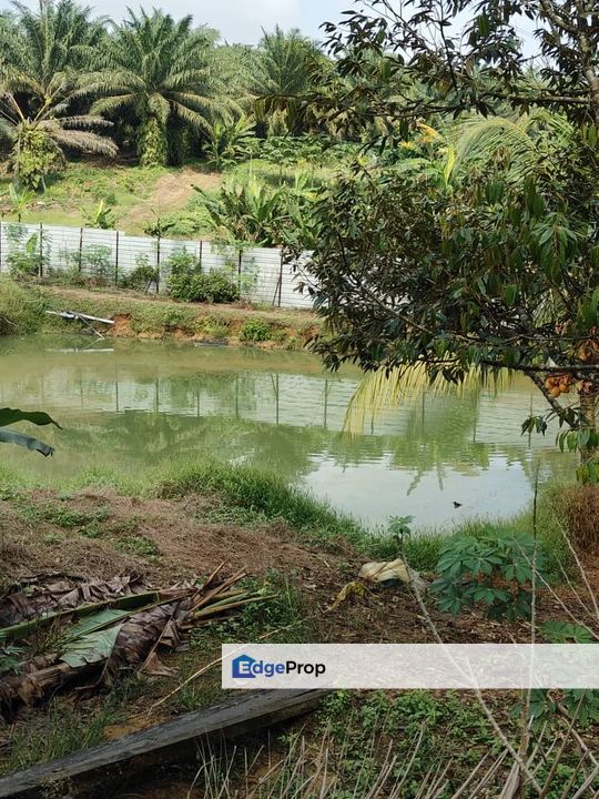 Plentong 10.22 Acres Land, Johor, Plentong