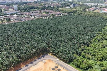 Kulai Saleng 7.5 Acres Land