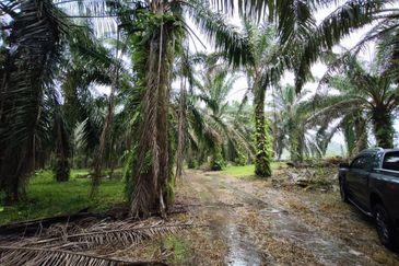 Kluang 6.2 Acres Land