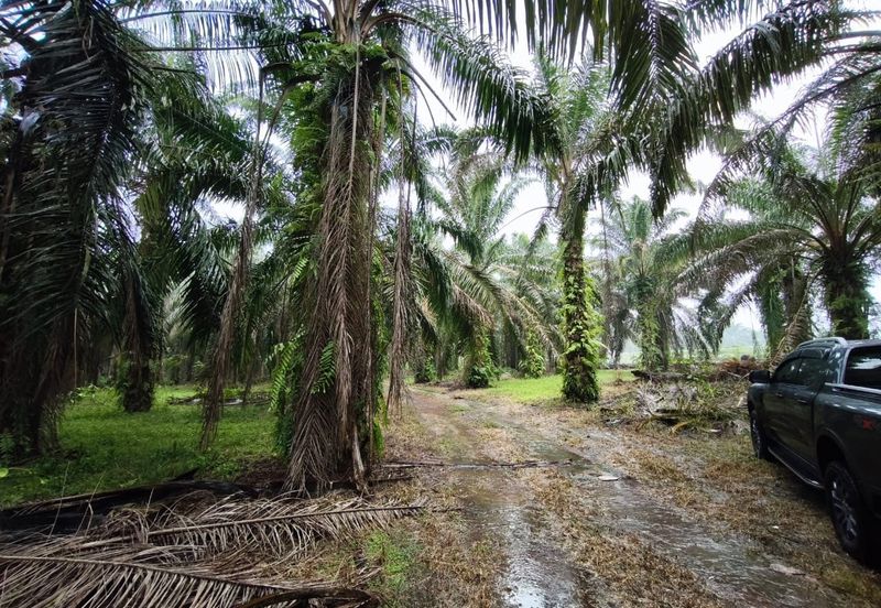 Kluang 6.2 Acres Land