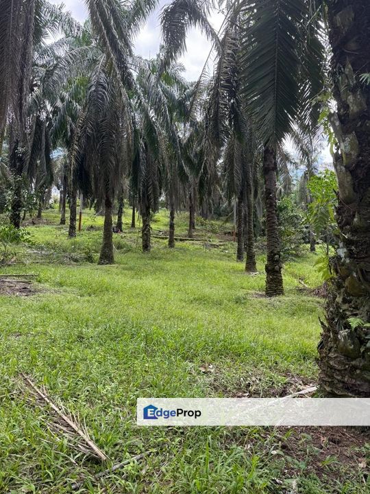 Simpang Renggam , Johor, Simpang Renggam