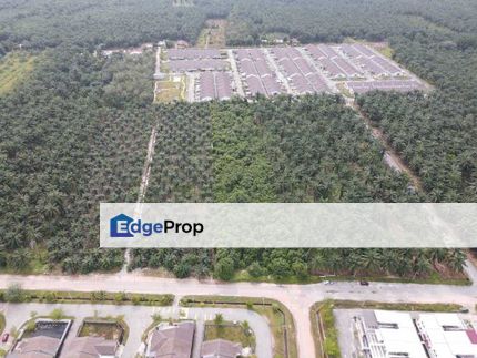 Batu Pahat 4.8 Acres Land, Johor, Batu Pahat