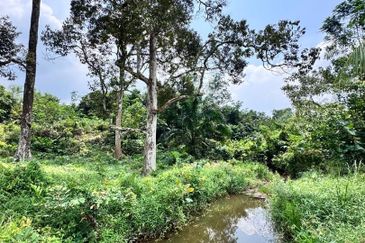 Taman Pulai Saujana 6 Acres Land