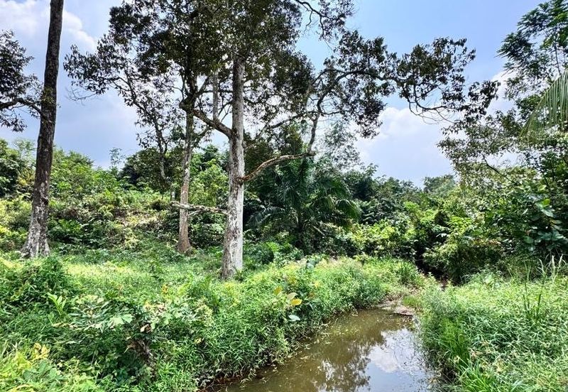 Taman Pulai Saujana 6 Acres Land