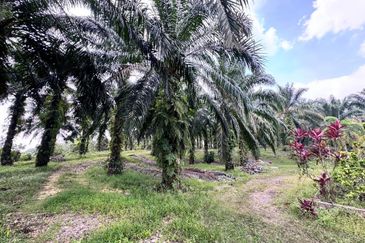Taman Pulai Saujana 6 Acres Land