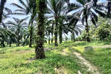 Taman Pulai Saujana 6 Acres Land