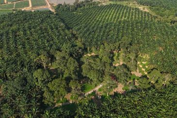 Kota Tinggi 2.7 Acres Land