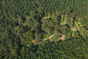 Kota Tinggi 2.7 Acres Land