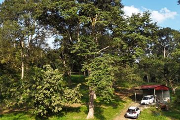 Kota Tinggi 2.7 Acres Land