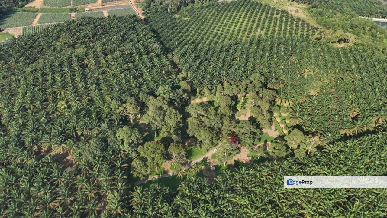 Kota Tinggi 2.7 Acres Land, Johor, Kota Tinggi