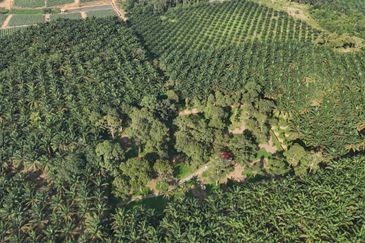 Kota Tinggi 2.7 Acres Land