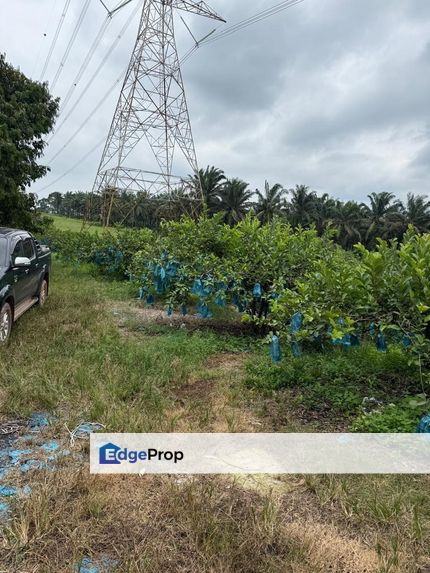 Yong Peng 8 Acres Land, Johor, Yong Peng