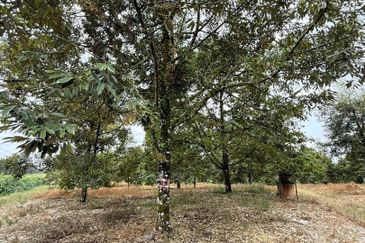 Yong Peng 8 Acres Land