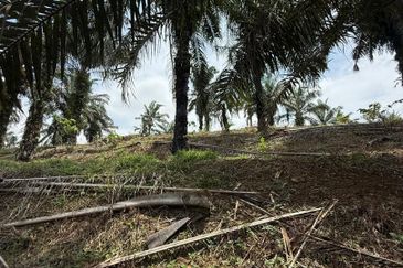 Yong Peng 21.6 Acres Land