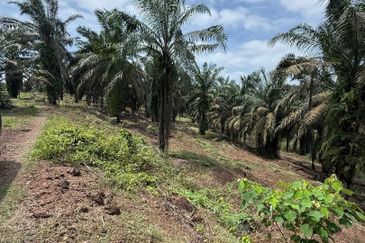 Yong Peng 21.6 Acres Land