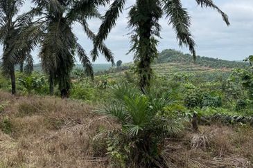 Yong Peng 21.6 Acres Land